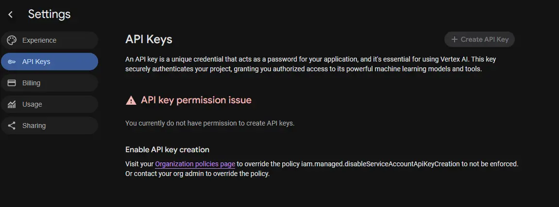 [API key permission issue page]